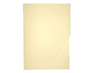 CARPETA/FOLDER MAPASA OFICIO CREMA